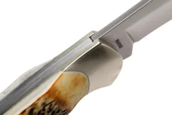 Böker Junior Scout 111910 Stag, Navaja 13 Böker Junior Scout 111910 Stag, Navaja -Tienda De Cuchillos BO111910 06 boker scaled