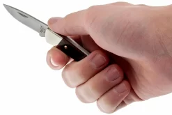 Buck 503 Prince 0503RWS-B, Palisandro 9 Buck 503 Prince 0503RWS-B, Palisandro -Tienda De Cuchillos BUCK0503RWS B 05 buck 503 prince knife buck0503rws b 05