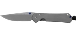 Chris Reeve Small Sebenza 31 Plain Drop Point