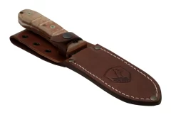 Condor Tactical P.A.S.S. Chute Knife, Cuchillo Fijo 11 Condor Tactical P.A.S.S. Chute Knife, Cuchillo Fijo -Tienda De Cuchillos CTK1827 105 4C 06 condor scaled