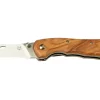 Fox Knives Spora Mushroom Satin Olive FX-409OL, Cuchillo Para Setas