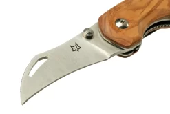 Fox Knives Spora Mushroom Satin Olive FX-409OL, Cuchillo Para Setas -Tienda De Cuchillos FOFX 409OL 03 foxknives scaled