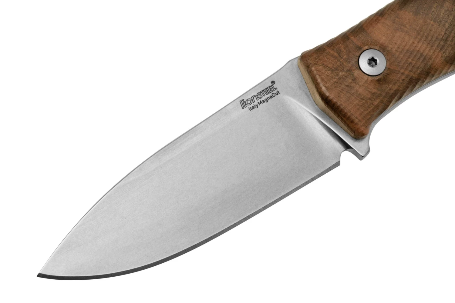 Lionsteel M4 Walnut MagnaCut M4-MC-WN, Knivesandtools Exclusive, Cuchillo Fijo 3 Lionsteel M4 Walnut MagnaCut M4-MC-WN, Knivesandtools Exclusive, Cuchillo Fijo - Imagen 3