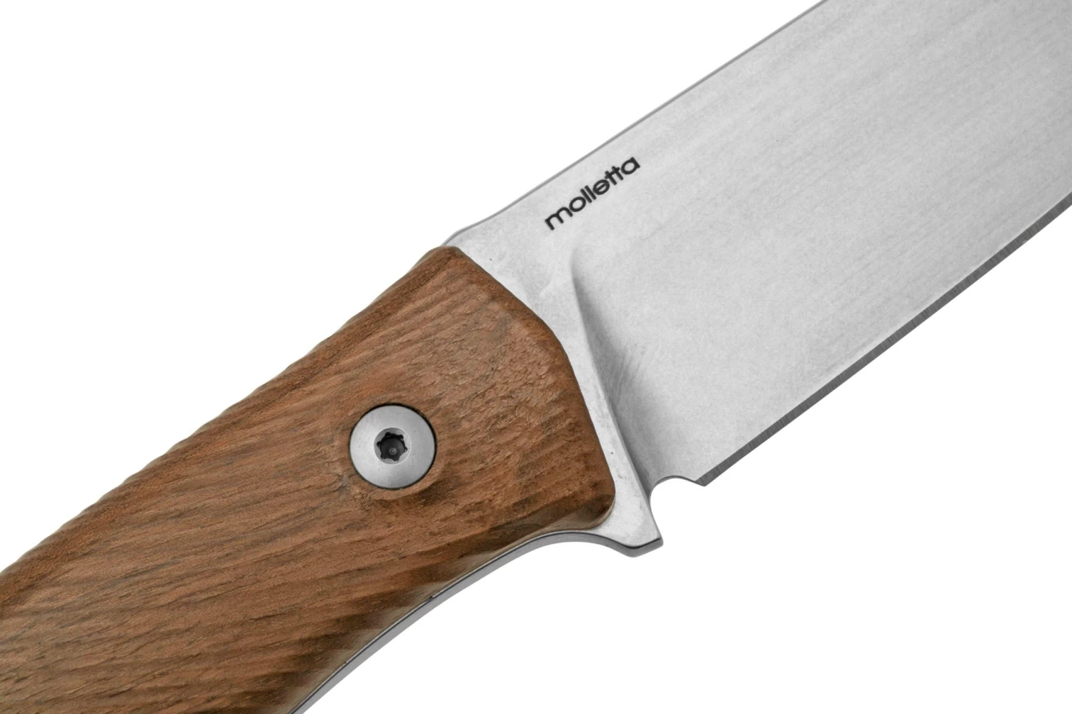 Lionsteel M4 Walnut MagnaCut M4-MC-WN, Knivesandtools Exclusive, Cuchillo Fijo 5 Lionsteel M4 Walnut MagnaCut M4-MC-WN, Knivesandtools Exclusive, Cuchillo Fijo - Imagen 5