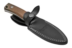 Lionsteel M4 Walnut MagnaCut M4-MC-WN, Knivesandtools Exclusive, Cuchillo Fijo 11 Lionsteel M4 Walnut MagnaCut M4-MC-WN, Knivesandtools Exclusive, Cuchillo Fijo -Tienda De Cuchillos LI M4 MC WN 06 lionsteel scaled