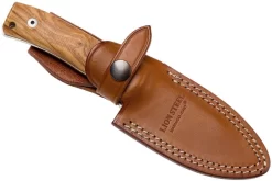 LionSteel M4-UL M390, Olivewood Handle -Tienda De Cuchillos LI M4 UL 07 lionsteel li m4 ul 07