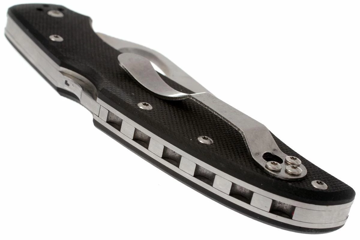 Spyderco Byrd Cara Cara 2 G-10 4 Spyderco Byrd Cara Cara 2 G-10 - Imagen 4